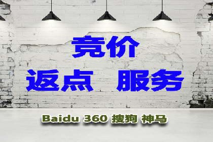 案例研究：竞价广告助力企业品牌升级